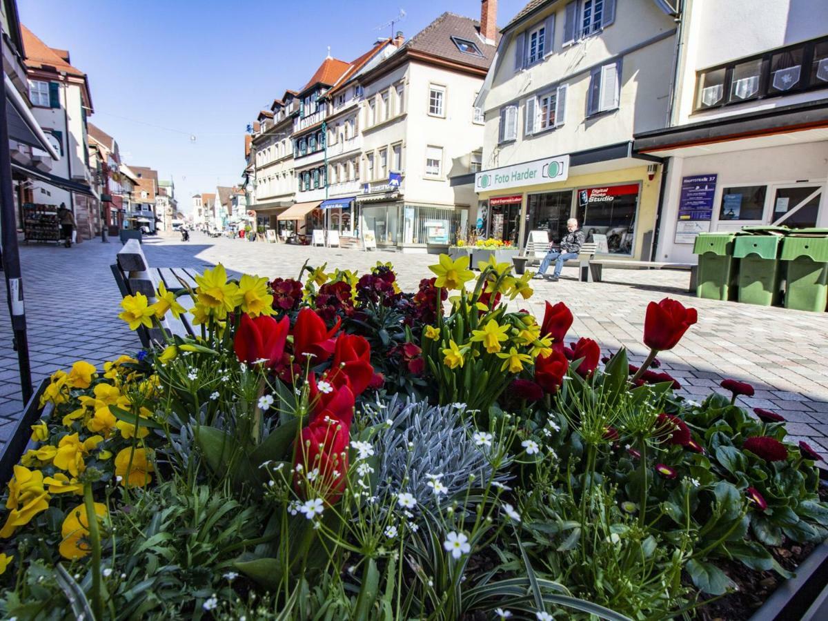 Ferienwohnung Innenstadt Oberkirch  Bagian luar foto